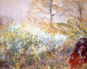 卡尔 拉尔森 : Slanbuskar